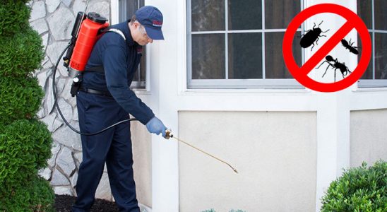 Aşkale Böcek İlaçlama böcek ilaçlama ve haşere kontrolü — ilaclama-tr.com